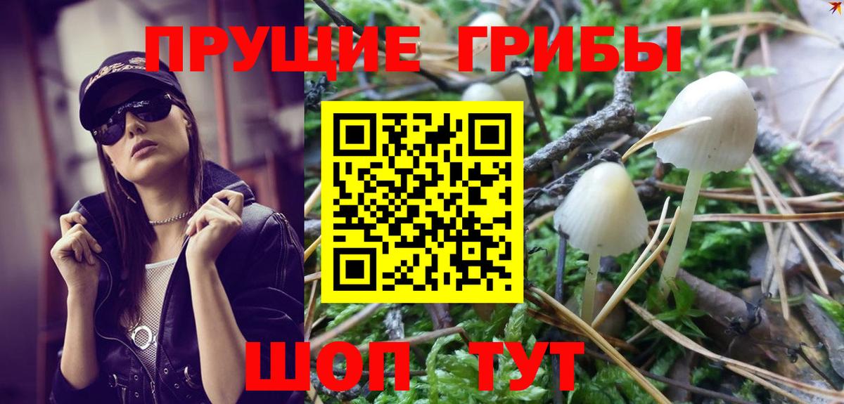Псилоцибиновые грибы Psilocybine cubensis  Галлюциногенные грибы мухоморы  Грозный  Вход с VPN 